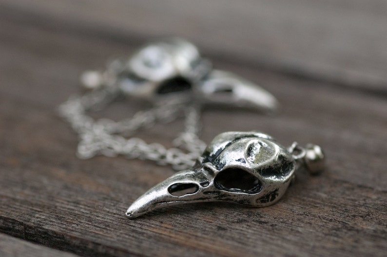 May include: A silver chain necklace with two pendant charms shaped like bird skulls. The charms are detailed and have a textured finish.