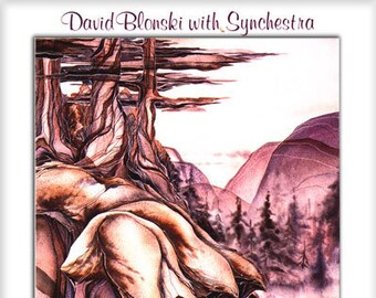 Shoreline... A Flute CD by David Blonski with Synchestra...    Free Shipping on all CD orders