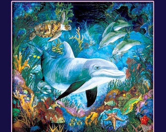 Dance of the Dolphin... A Flute CD by David Blonski...    Free Shipping on all CD orders