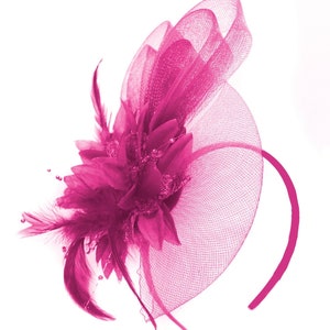 Caprilite Fuchsia Hot Pink Flower Veil Feathers Fascinator On Headband Wedding