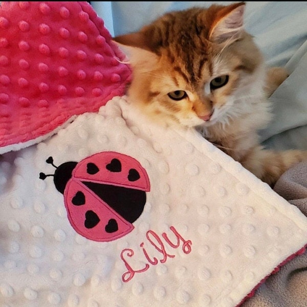 Lady Bug Personalized Minky Blanket, Lady Bug Blanket, Minky Baby Blanket, Appliqued Ladybug Nursery blanket