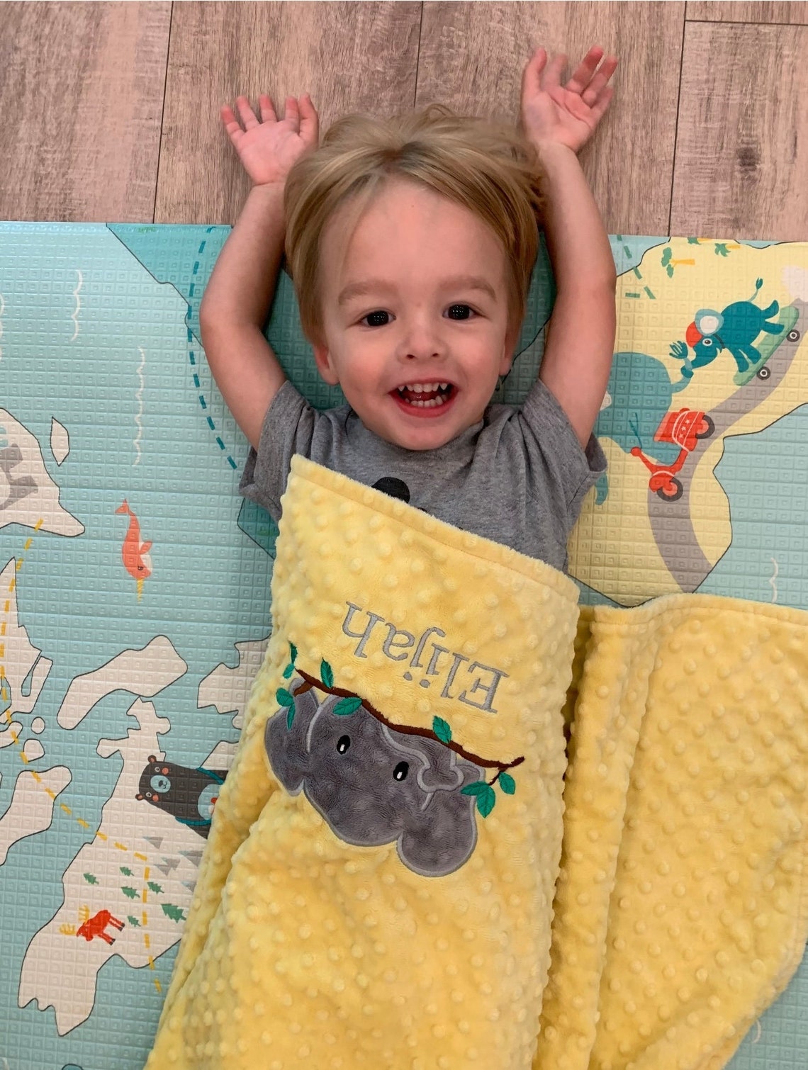 Elephant Personalized Minky Baby Blanket Custom Baby Name Etsy