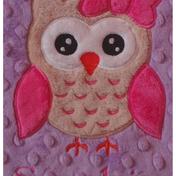 Owl Baby Personalized Baby Blanket, Owl Baby Girl Minky Blanket, Choose your own colors