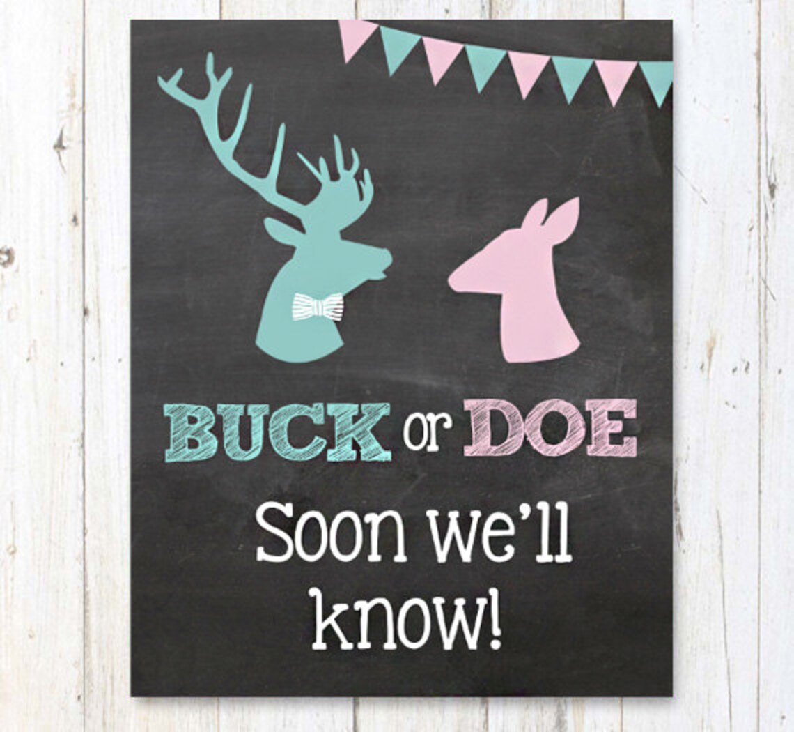 PRINTABLE Buck or Doe Gender Reveal Chalkboard Sign Gender Etsy