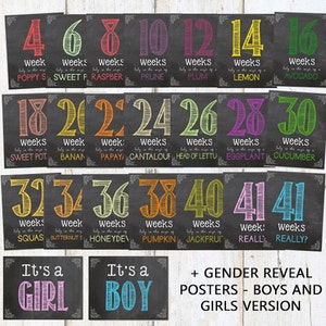 Colorful Weekly Pregnancy Chalkboard signs - Set of Weekly Pregnancy Photo Prop 4-41 weeks countdown - pregnancy countdown DIGITAL FILES!
