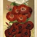 Vintage Advertising Images - Digital Download