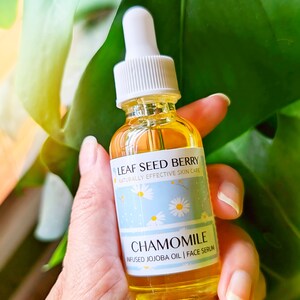 May include: A glass bottle of chamomile infused jojoba oil face serum. The bottle has a white dropper top and a label that says "Leaf Seed Berry Naturally Effective Skin Care" and "Chamomile Infused Jojoba Oil | Face Serum".