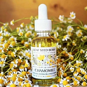 May include: A glass bottle of chamomile face serum with a white dropper top. The bottle is labeled "Leaf Seed Berry Naturally Effective Skin Care Chamomile Infused Jojoba Oil | Face Serum". The bottle is surrounded by white and yellow chamomile flowers.