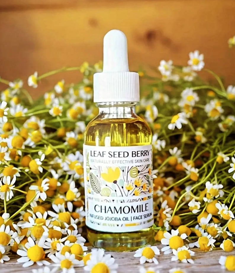 May include: A glass bottle of chamomile face serum with a white dropper top. The bottle is labeled "Leaf Seed Berry Naturally Effective Skin Care Chamomile Infused Jojoba Oil | Face Serum". The bottle is surrounded by white and yellow chamomile flowers.