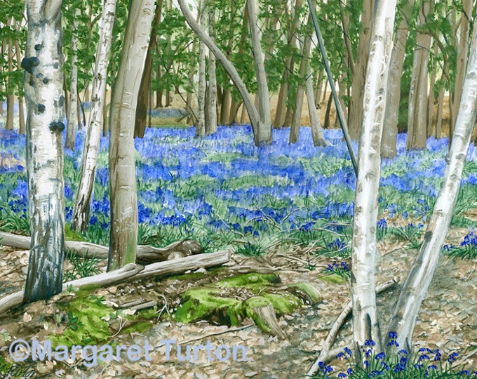 Featured listing image: Bluebell Glade Print, mounted and signed