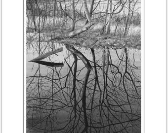 Winter Reflections, A3 black and white print, Sussex Art