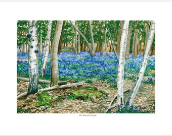 Bluebell Glade Print, print signed by artist