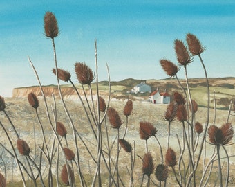 Winter Teasels print, mounted and signed by artist