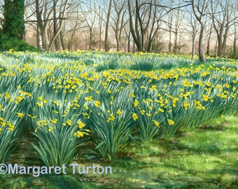 Colours of Spring, watercolour painting featuring English daffodils