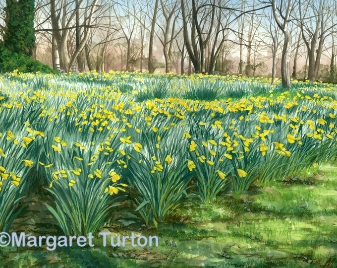 Featured listing image: Colours of Spring, watercolour painting featuring English daffodils