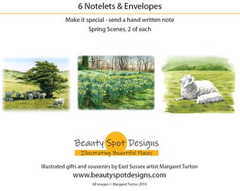 Spring Time Notelets, Pack of 6