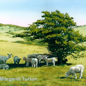 Hot Lamb on the South Downs, mounted print signed