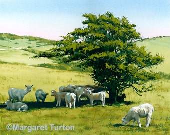 Hot Lamb on the South Downs, mounted print signed