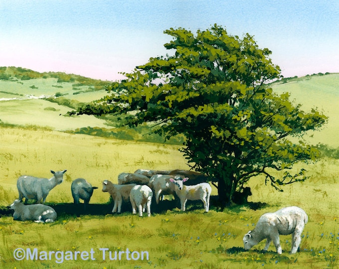 Featured listing image: Hot Lamb on the South Downs, mounted print signed