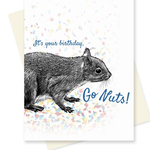 Puede incluir: Una tarjeta de cumpleaños con una ilustración en blanco y negro de una ardilla con el texto "It's your birthday, Go Nuts!" sobre un fondo blanco con confeti de colores.