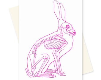 以下が含まれることがあります： 白い背景にピンクの線で描かれたウサギの骨格の図です。