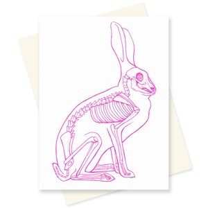 Wissenschaft Osterkarte - Kaninchen Skelett - Hase Skelett - Anatomie Karte - Anatomie Kunst - Rosa Kaninchen - Einzigartige Osterkarte - Wissenschaft Stationär