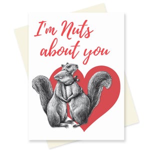 Écureuil Valentine. Carte mignonne de la Saint-Valentin. Carte drôle de petit ami / carte de petite amie. Drôle d’anniversaire d’animal. Carte d’amour mari femme.