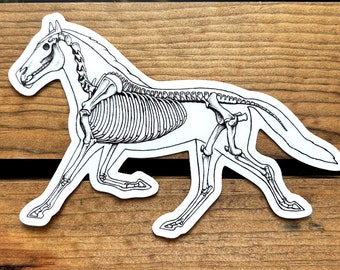 Könnte beinhalten: Ein weißer Aufkleber mit einer schwarz-weißen Illustration eines Pferdeskeletts in Bewegung. Der Aufkleber befindet sich auf einem Holzuntergrund mit sichtbarer Maserung. Die Skelettstruktur des Pferdes ist detailliert dargestellt.