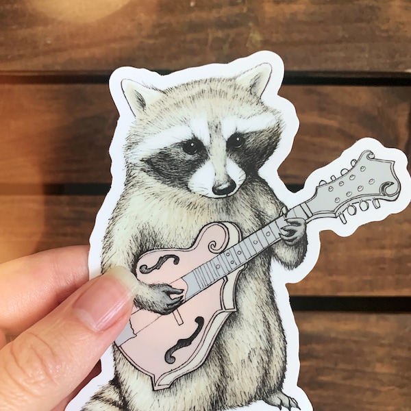 Bluegrass Vinyl Sticker - Raccoon Bumper Sticker - Waterproof Water bottle Sticker - Funny Raccoon Gift - Die Cut Hipster Mandolin Decal