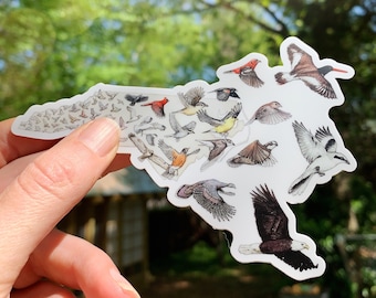 Birds of NC vinyl sticker - North Carolina bumpersticker - waterdichte waterfles - Bird Lover Watcher cadeau - weerbestendige Birder sticker