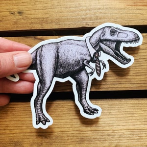 Professional T-rex Vinyl Sticker. Dinosaur Bumper Sticker. Waterproof Water Bottle Sticker. Funny Gift. Hipster Laptop. Tyrannosaurus Decal.
