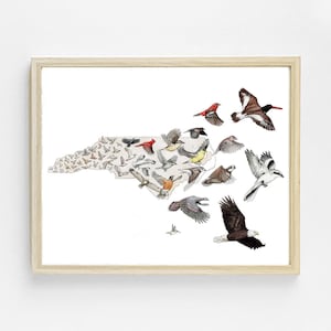 North Carolina Birds Art Print. NC Birds Painting. Natural Wildlife Poster. Bird Lover Gift. Audubon Style Colorful Wall Art. Bird Watcher.