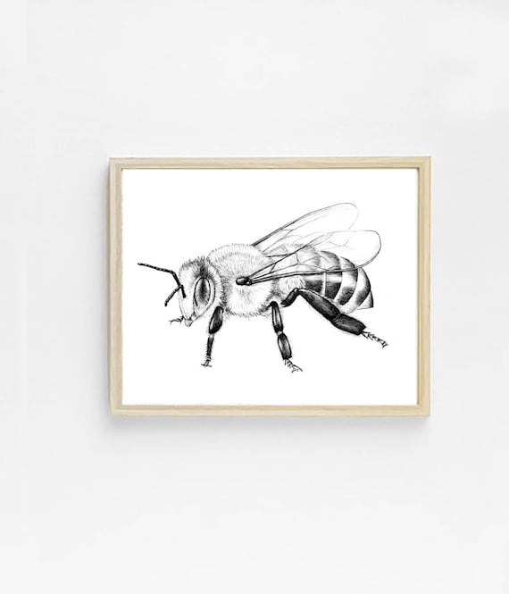 220 ideas de Abejas decoración en 2024  abejas, decoración de unas, fiesta  de la abeja