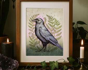 Illustrated Crow Art Print. Original Bird and Ferns Artwork Design. Nature Witchy Wall Art Decor. Moody Dark Cottagecore Raven Aesthetic.