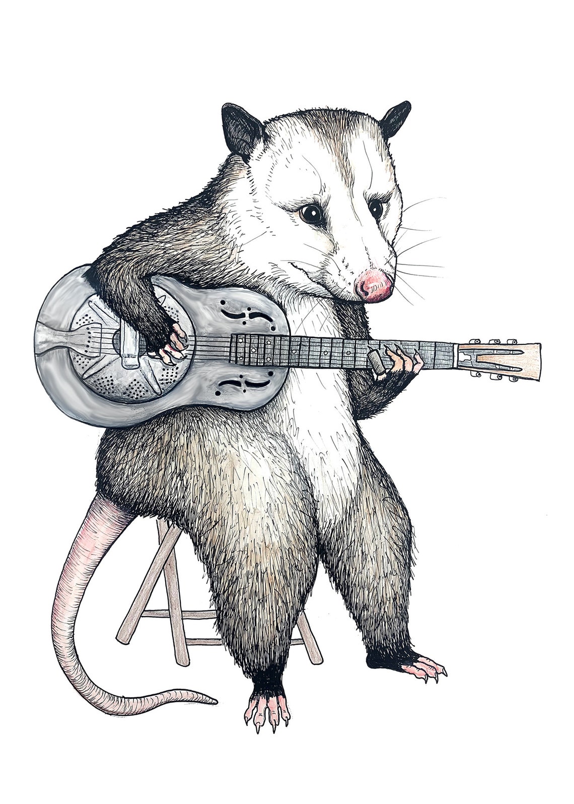 Printable Bluegrass Opossum Possum Art Print Animal Band Music Poster ...