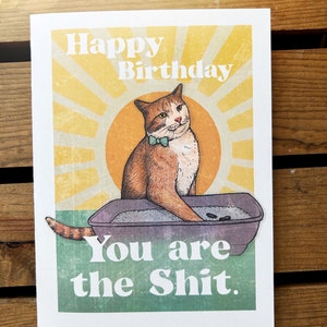 Funny Cat Birthday Card. Happy Birthday You are the Shit. Cat Boyfriend / Girlfriend Birthday Card. Cat Lovers, Cat Mom, Cat Dad. Orange cat image 3