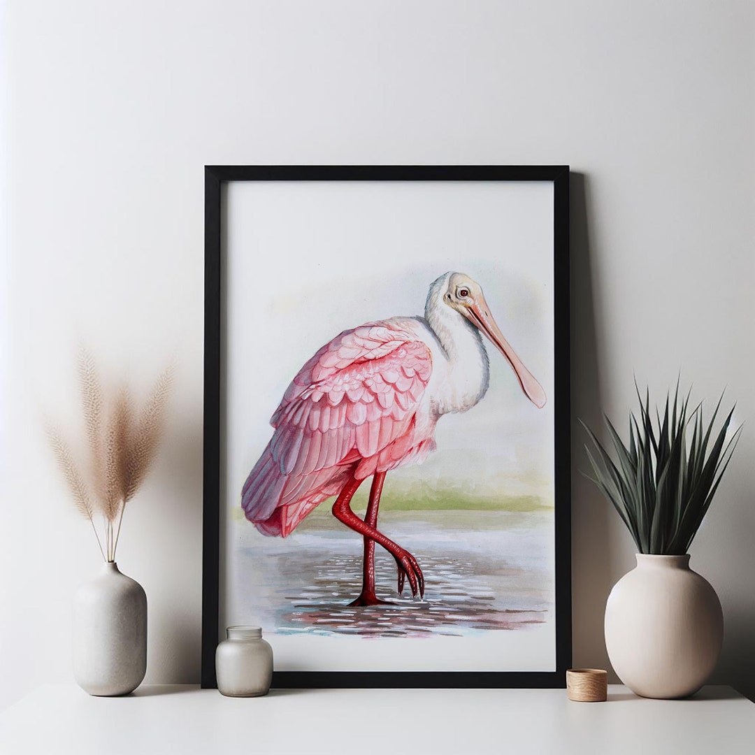 Roseate Spoonbill Watercolor Print. Shorebird Wildlife Art Bird ...