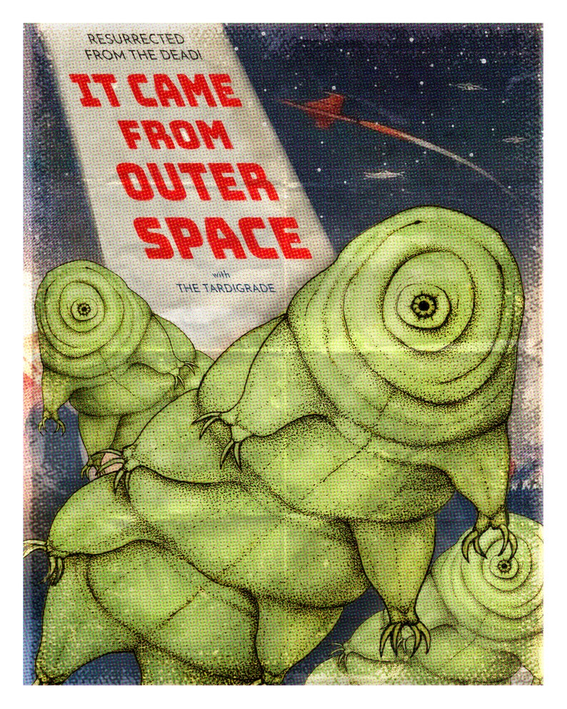 May include: A vintage movie poster with a retro design featuring the text "It Came From Outer Space" with the words "Resurrected From The Dead!" above the title. The poster features a green, segmented creature with multiple eyes and legs.