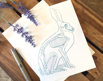 以下が含まれることがあります： 白い紙に、ターコイズブルーの線で描かれたウサギの骨格の線画。木製の表面にラベンダーの花が置かれている。