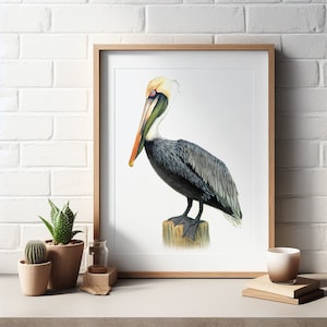 Pelican Wildlife Art Print. Bird Watercolor Painting. Beach House Decor. Colorful Coastal Wall Art. Bird Art. Beachy Brown Pelican Artwork.