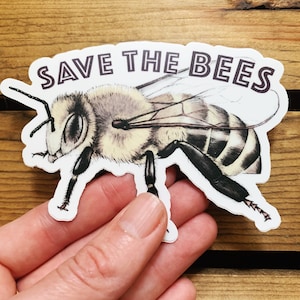 Save the Bees Vinyl Sticker - Honey Bee Bumper Sticker - Waterproof Water bottle Sticker - Bee Lover Beekeeper Gift - Laptop Nature Sticker