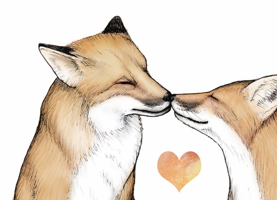 dfgdfgdfg  Fox art, Art prints, Love art