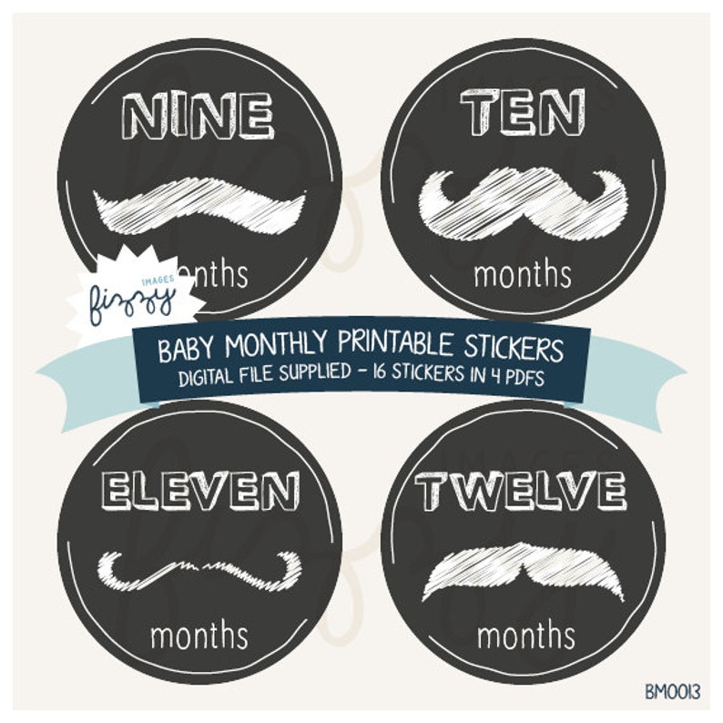 16x Baby Monthly Milestone Stickers Boy Printable Instant Download ...