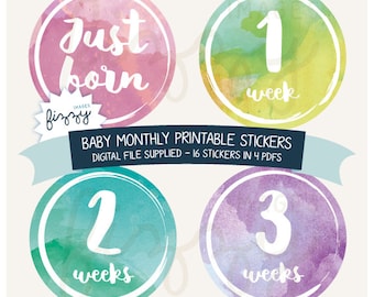 16x Baby Monthly Growth Milestone Stickers Watercolor Girl Printable Download - Digital file only. BM0019