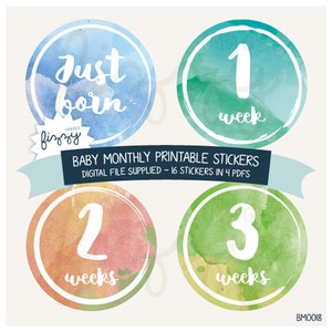 16x Baby Monthly Milestone Onesie Stickers Boy Watercolor Printable Télécharger - Fichier numérique seulement. BM0018
