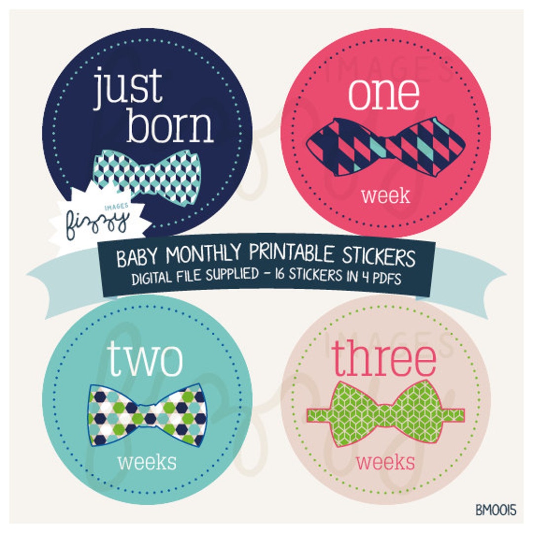 16x Baby Monthly Milestone Stickers Boy Printable Instant Download ...