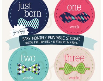 16x Baby Monthly Milestone Stickers Boy Printable Instant Download - Digital file only. BM0015