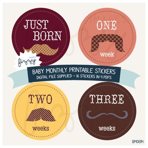 16x Baby Monthly Milestone Stickers Boy Printable Instant Download - Digital file only. BM0014