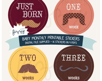 16 x Baby mensile Milestone adesivi ragazzo stampabile Download immediato - solo il file digitale. BM0014