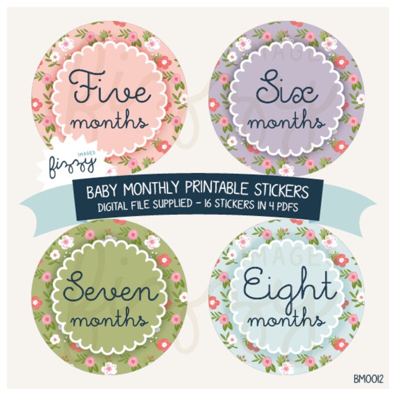 16x Baby Monthly Milestone Stickers Floral Girl Printable Instant ...